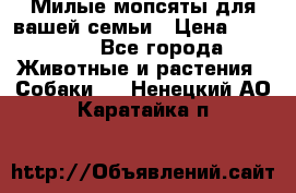 Милые мопсяты для вашей семьи › Цена ­ 20 000 - Все города Животные и растения » Собаки   . Ненецкий АО,Каратайка п.